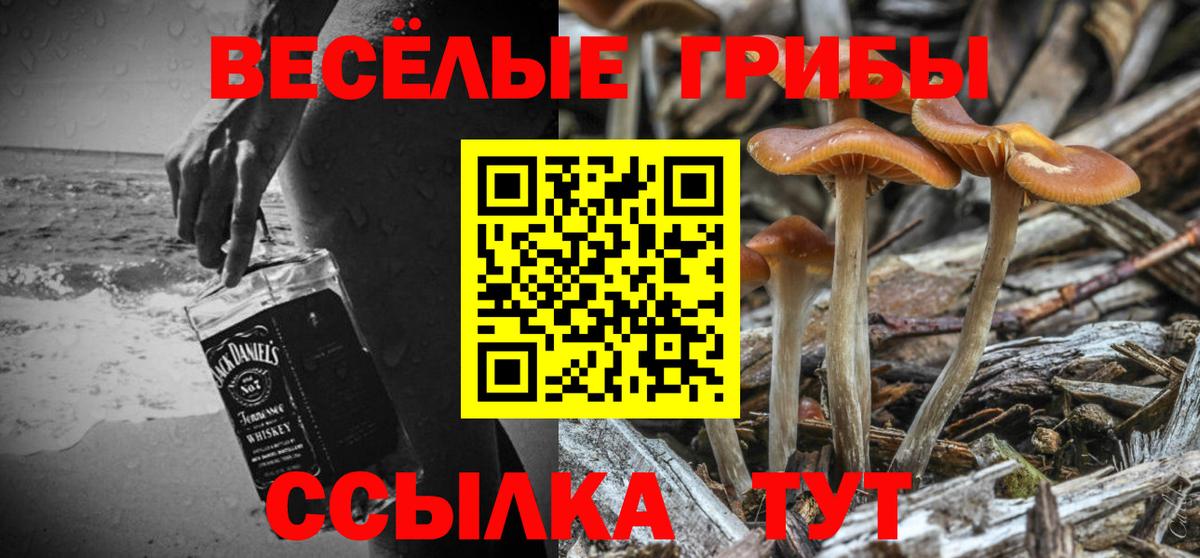 Галлюциногенные грибы MAGIC MUSHROOMS  Галлюциногенные грибы мицелий  цены   Вход с VPN  Сибай 